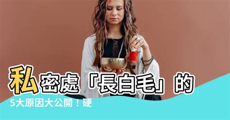 身上長白毛|【身上長出白毛】小心你的白毛，可能是身體健康警訊！